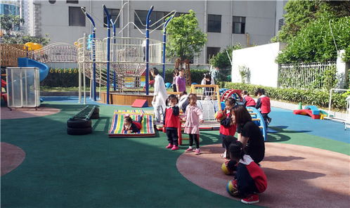 幼儿园探访 听4位园长讲些育儿理念的干货