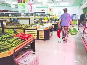 注意 四季豆等4种食品禁入中小学幼儿园食谱
